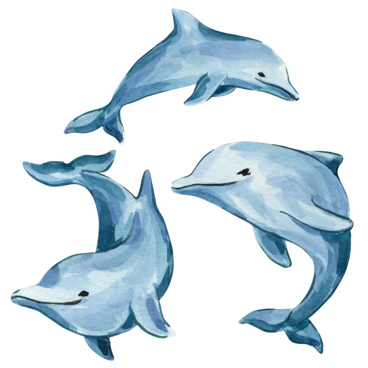 Vektor aquarell-illustration eines blauen delfins. meeresthema realistische delfine auf weißem hintergrund