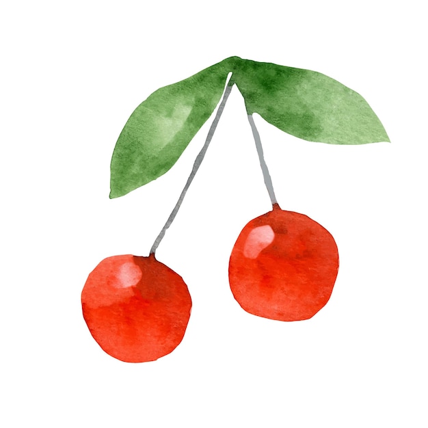 Aquarell-illustration von roten kirschen mit blättern süßes paar beeren veganes essen natur organisch