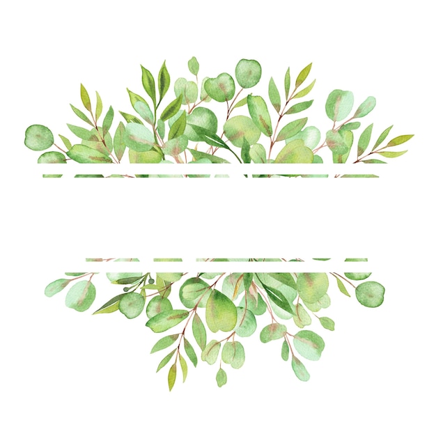 Aquarell-Illustrationsrahmen mit Blättern und Grün von Eukalyptus