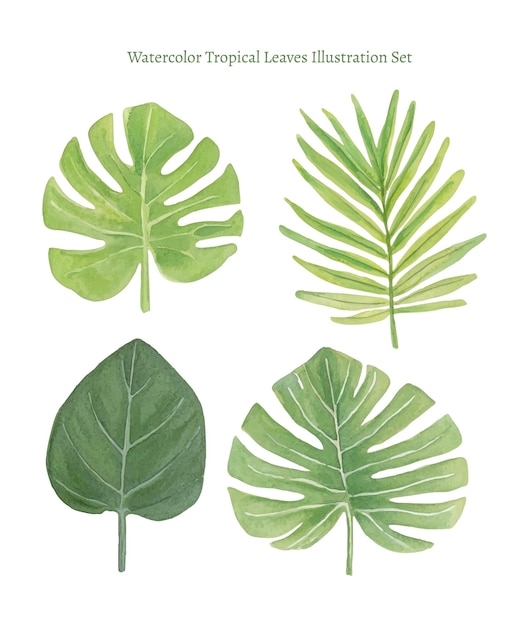 Aquarell-Illustrationssatz mit tropischen Blättern