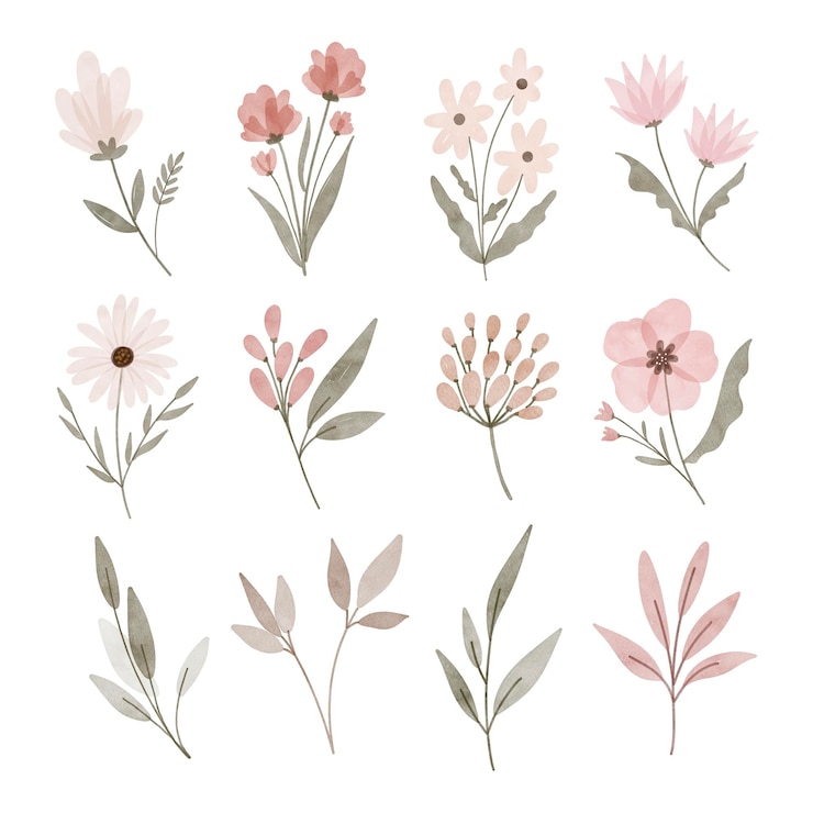 Vektor aquarell-illustrationssatz von vintage-flowers und blättern