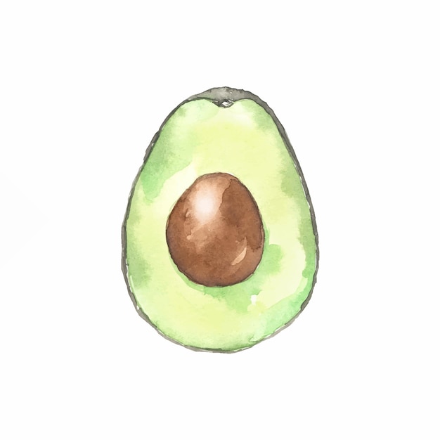 Aquarell illustrierte Avocado mit Samen