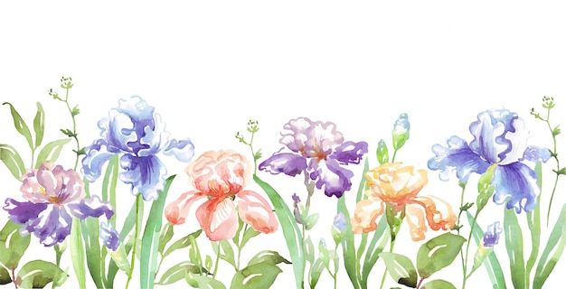 Aquarell-Iris-Grenze