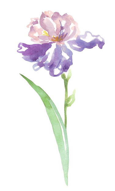 Vektor aquarell-iris-vektor