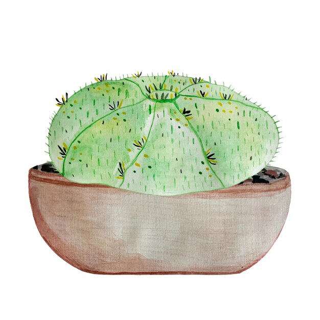 Aquarell kakteen zimmerpflanze im topf cactus vector illustration