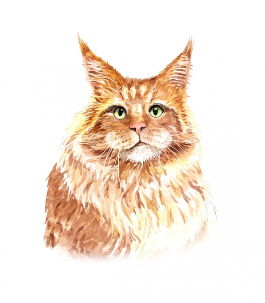 Aquarell katze abbildung. t-shirt-druck.