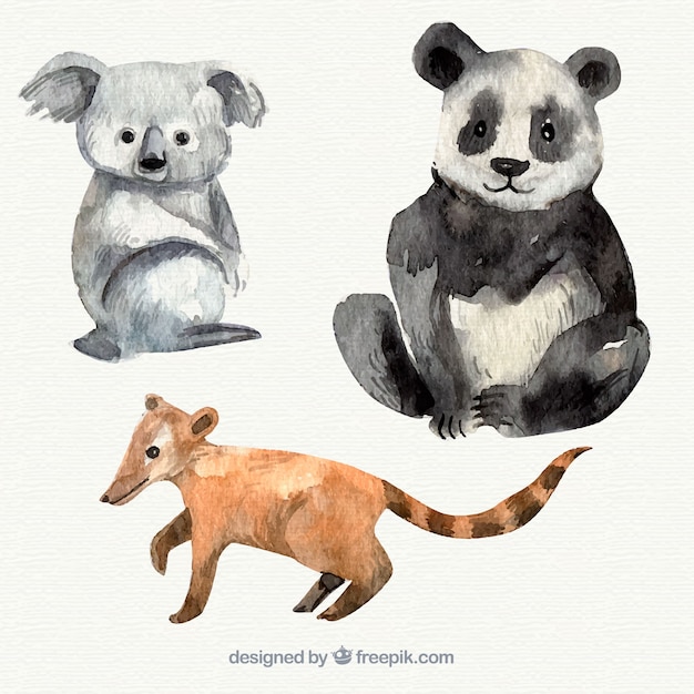 Aquarell-Koala, Panda und Lemur