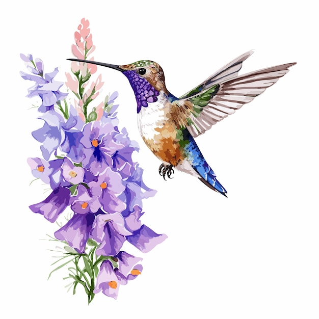 Vektor aquarell kolibri und blume