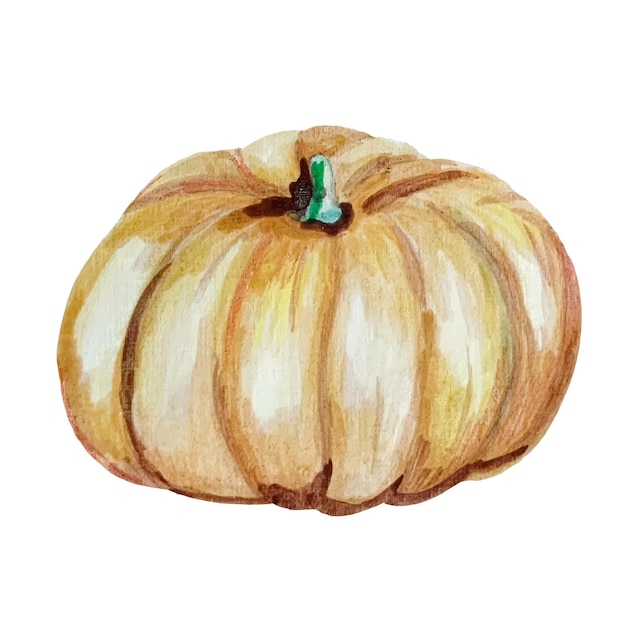 Aquarell Kürbis Ernte Herbstgeschenke Vektor-Illustration