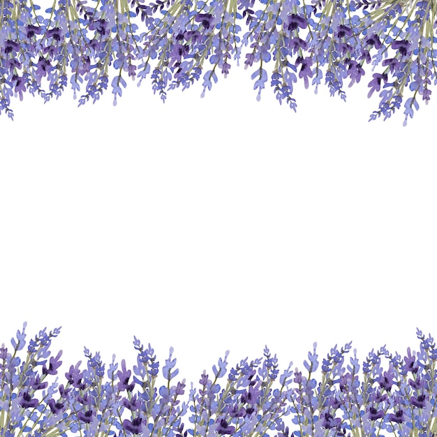 Aquarell-Lavendel-Illustration für Banner und Poscard