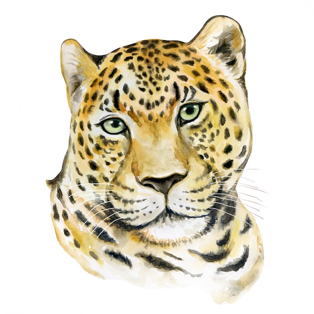 Aquarell leopard porträt