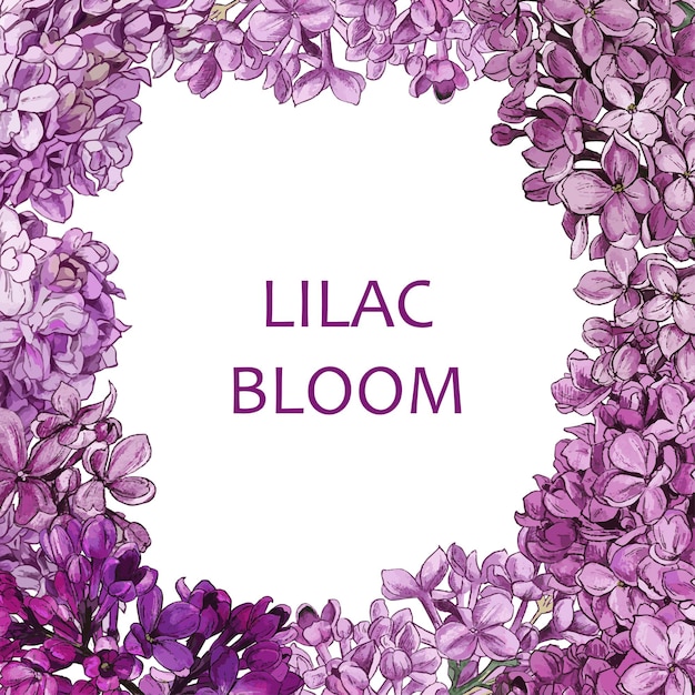 Aquarell lila blumen und blätter rahmen