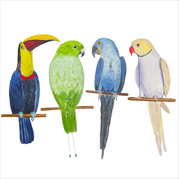 Vektor aquarell mit bunten papageien schöne tropische vögel