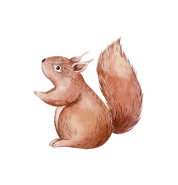 Aquarell mit der hand gemalte niedliche kleine eichhörnchen waldtierfigur