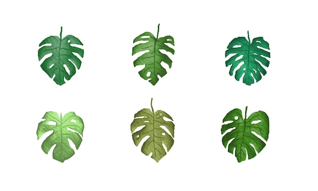 Aquarell-monstera-blätter setzen designvorlage für tropische pflanzen