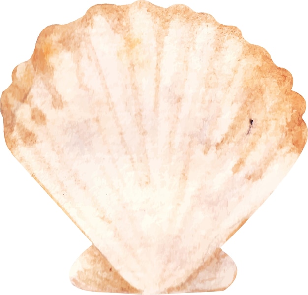 Vektor aquarell muschelschale