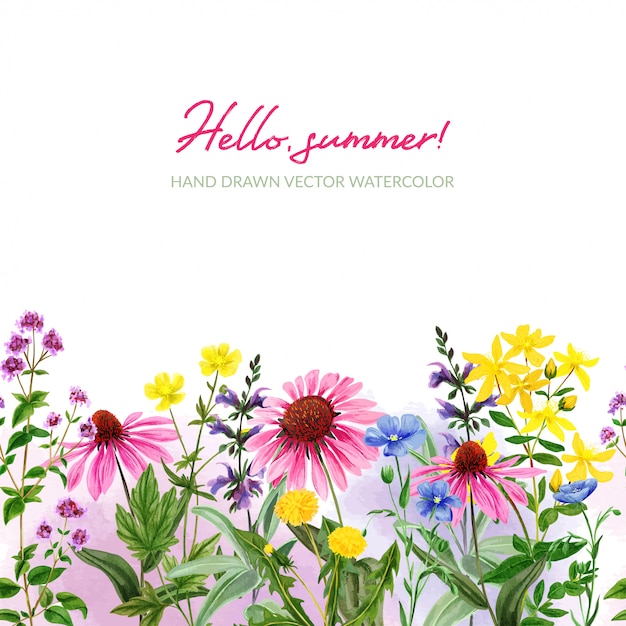 Aquarell nahtlose Grenze, Feld wilde Blumen und Kräuter