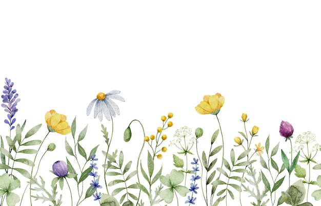 Aquarell nahtlose Grenze mit farbenfrohen Wildblumenwiesen