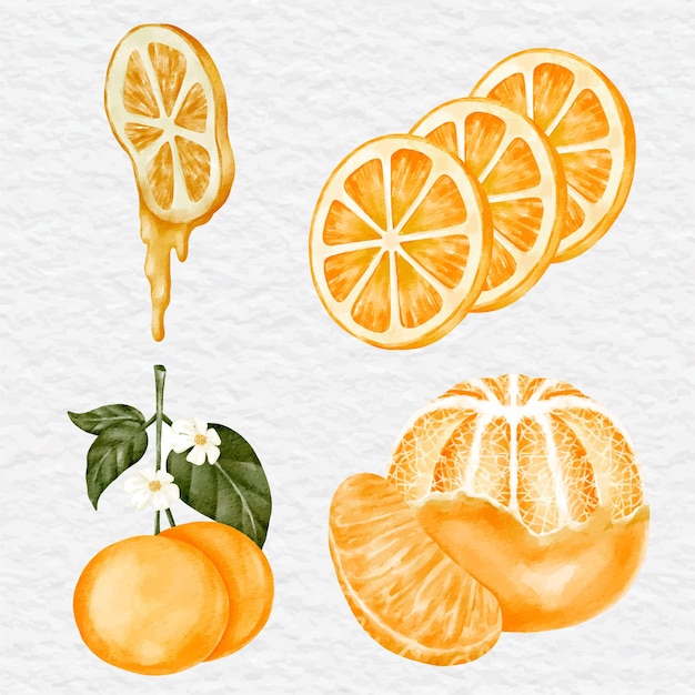 Aquarell-Orange-Element-Sammlungssatz