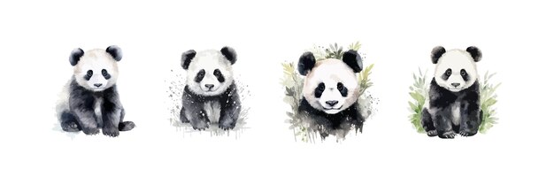 Vektor aquarell-panda-bären-set vektor-illustrationsdesign