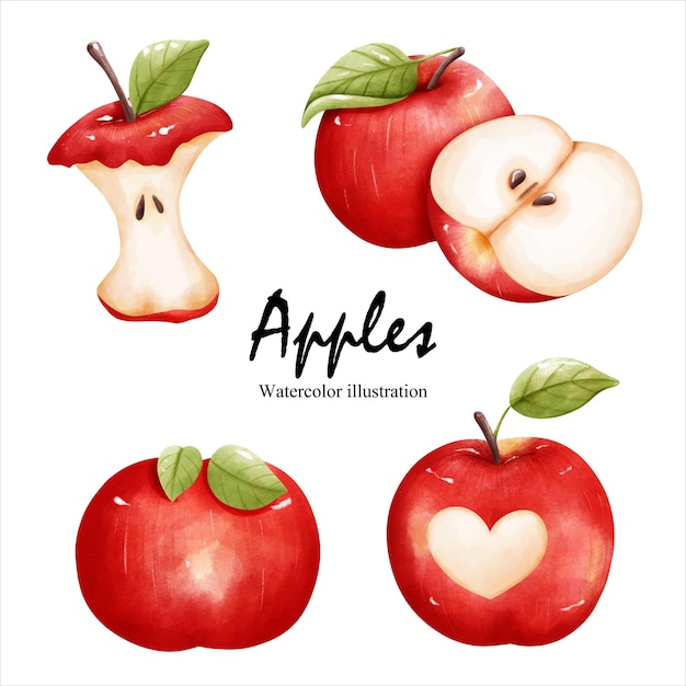 Aquarell-Äpfel-Frucht-Vektor-Illustration