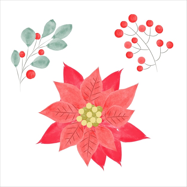 Aquarell poinsettia blume und weihnachten florale elemente vektor