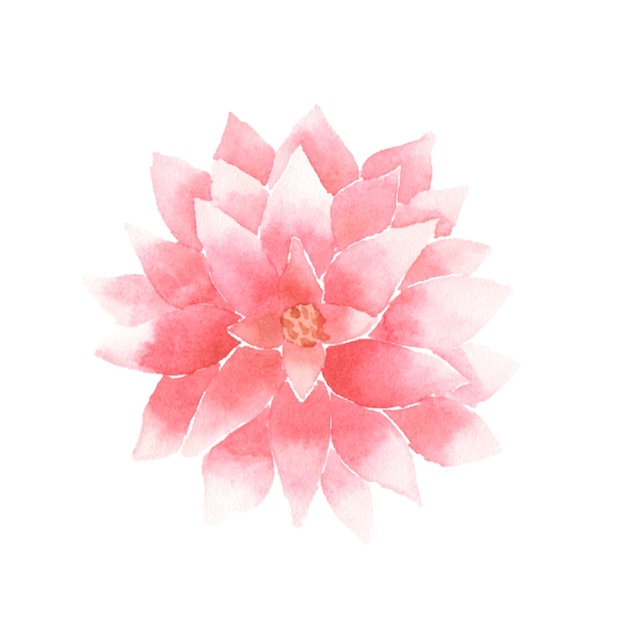 Aquarell rosa Lotusblume Symbol von Indien Meditation und buddhistische Kultur