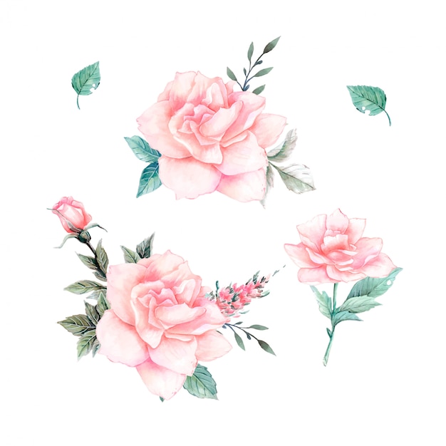 Aquarell rosa rosen vintage-set.