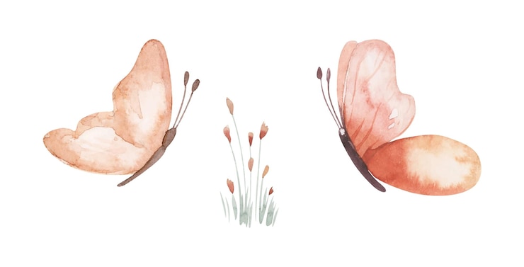 Vektor aquarell rosa und rot schmetterling handgezeichnet realistischer stil wiesenfeld