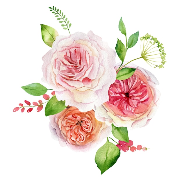 Vektor aquarell rosen strauß illustration florale komposition
