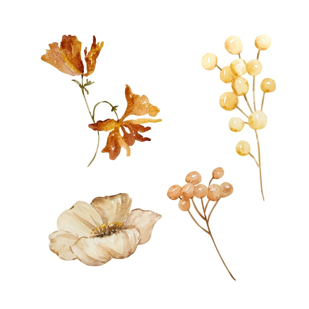 Aquarell-Satz Beeren und Blumen