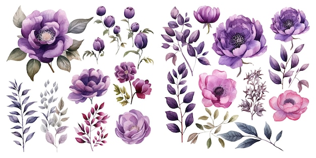 Vektor aquarell-satz violettblumen-klipart