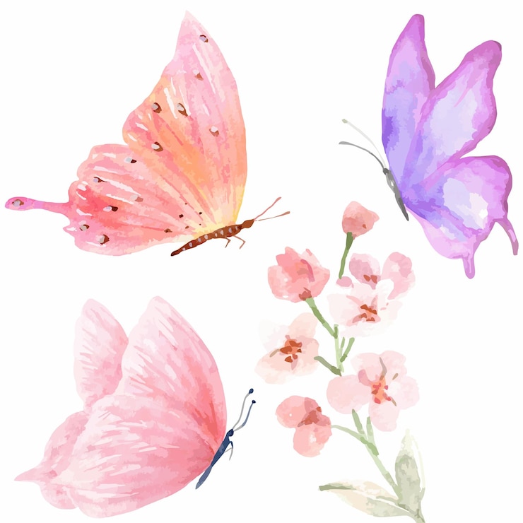 Vektor aquarell, schmetterling und blumenillustration