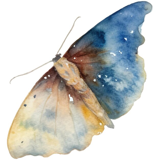 Vektor aquarell schmetterling und motte vintage-illustration insektenillustration zum verpacken scrapbooking und kartendesign