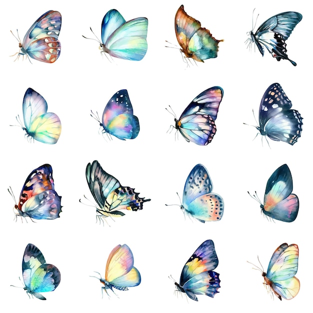 Aquarell-Schmetterlinge, isolierte auf weißem Hintergrund, handgezeichnete Illustration