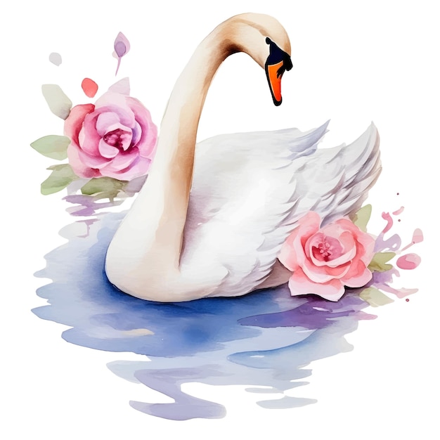 Aquarell Schwan Tiere Clipart