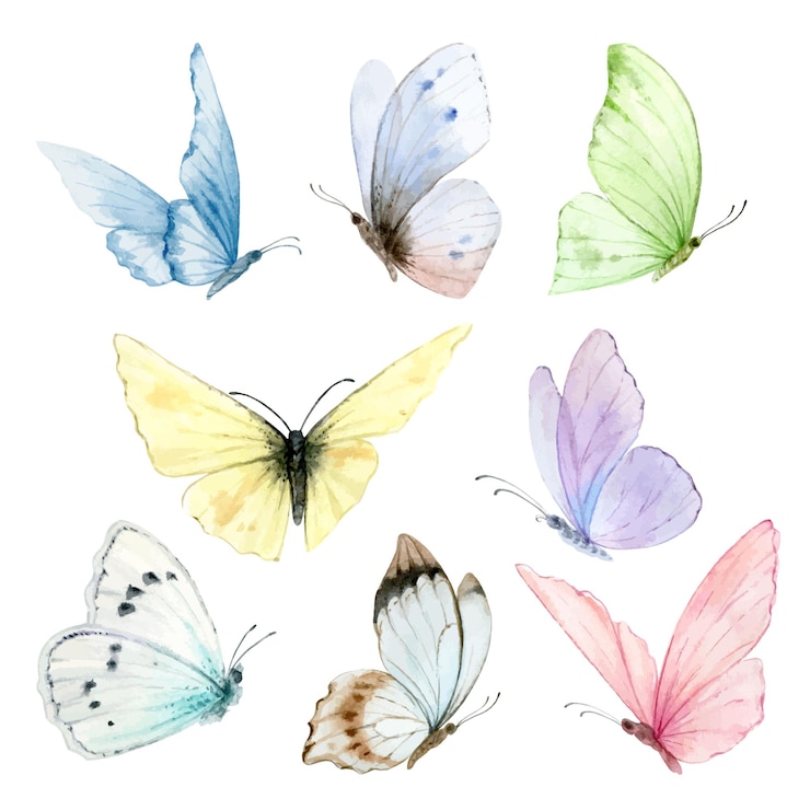 Vektor aquarell-set aus leuchtend handbemalten schmetterlingen