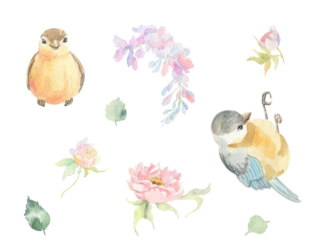 Aquarell-set aus zarten rosa blumen mit einem vogel