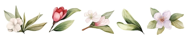 Aquarell-set mit rosa wilden frühlingsblumen für den valentinstag romantische illustration