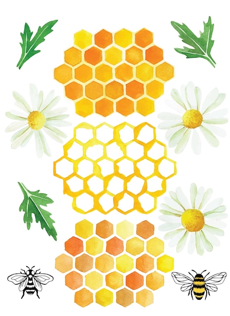 Aquarell-set zum thema honigbienenzucht isoliert auf weißem hintergrund gelber honig