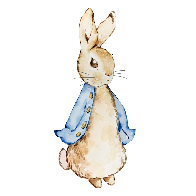 Aquarell süßes Kaninchen in einer blauen Jacke