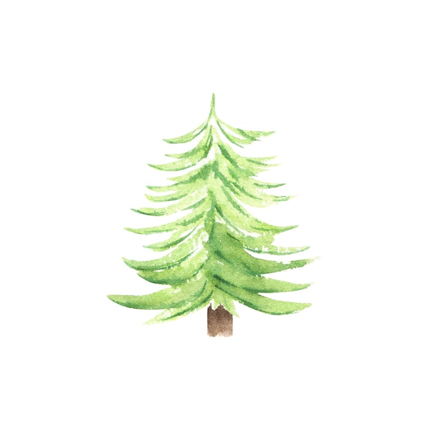 Vektor aquarell traditioneller tannenbaum hand gezeichnete illustration von nadelbäumen für neujahrsfeiertage