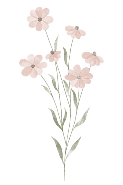 Vektor aquarell trendige blume vektor-illustration für web-app und druck elegante feminine form floristisch