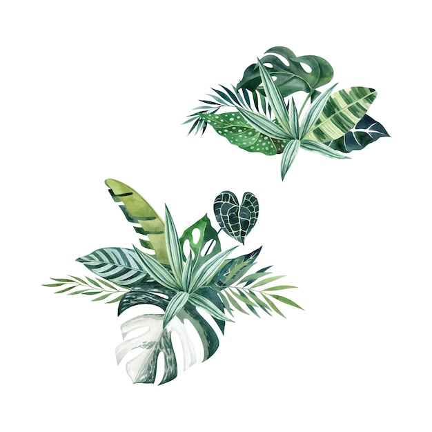 Aquarell-Vektorset mit tropischen Blattkompositionen Vektor-Cliparts mit Monstera-Bananenblatt