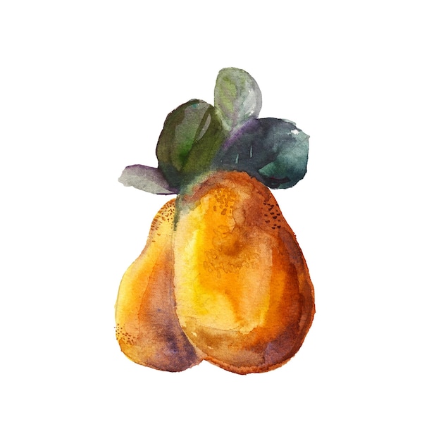 Aquarell von Jackfrucht