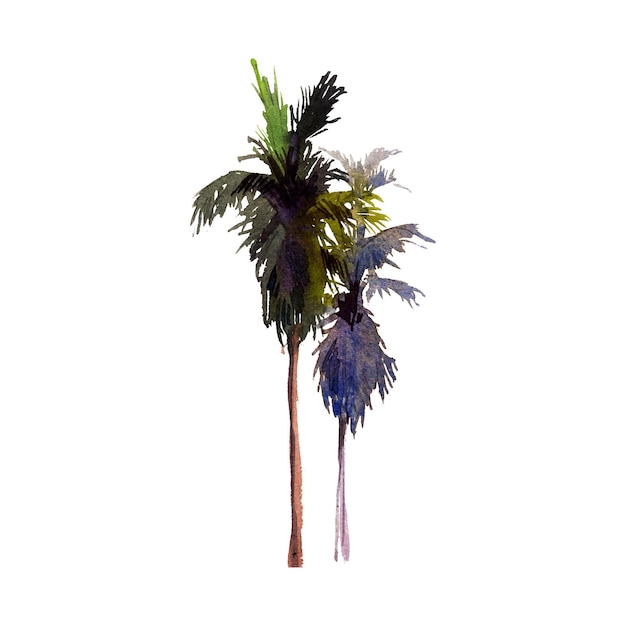 Aquarell von kokospalme mit zweigen