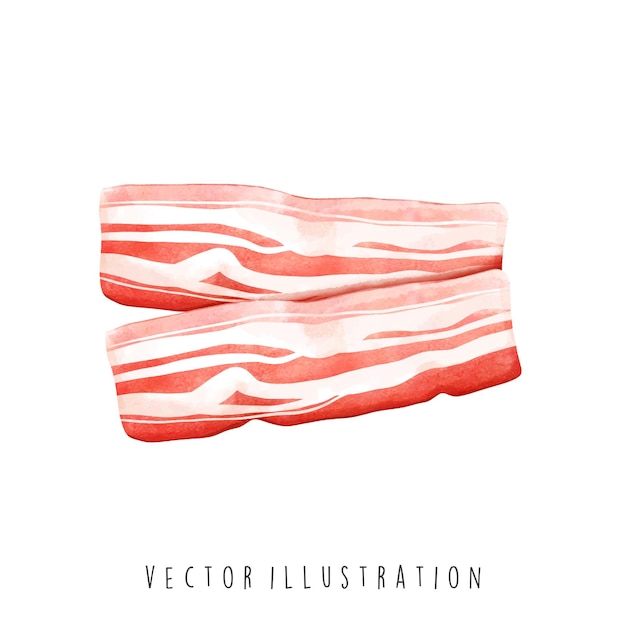 Vektor aquarell von speck