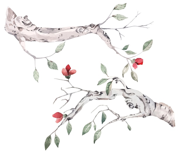 Aquarell von Zweigen und Blättern für autumnTree Branch für Einladungskarte im Naturstil