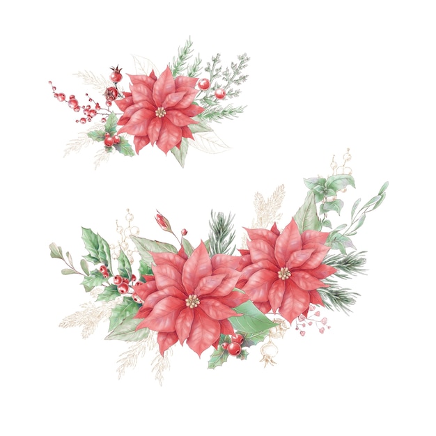Vektor aquarell-weihnachtsstrauß mit weihnachtssternblumen
