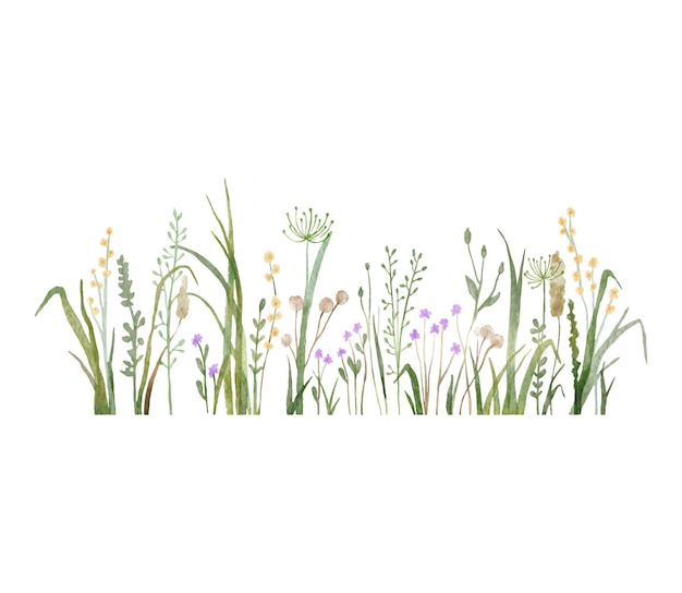 Aquarell wilde Kräuter und Blumen doodle Illustration Feld mit Graspflanzen und Wildblumen isoliert auf weiß